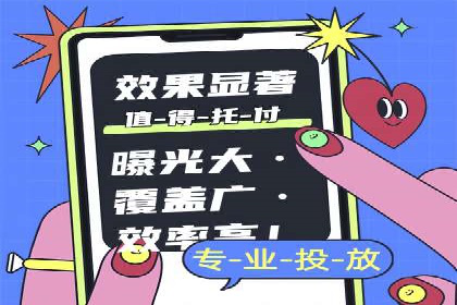 竞价广告的转化率提升策略——案例分享